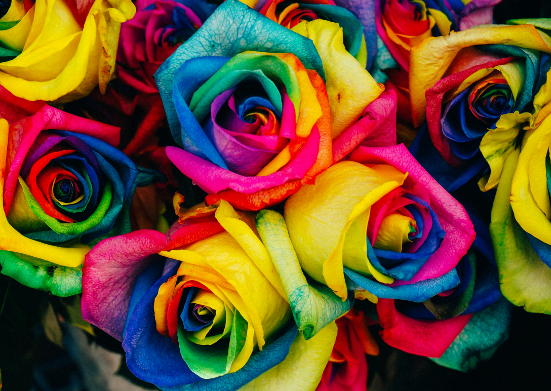 Colourful Roses in a bouquet