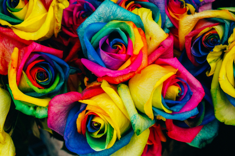 Colourful Roses in a bouquet